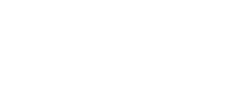 logotipo de N II